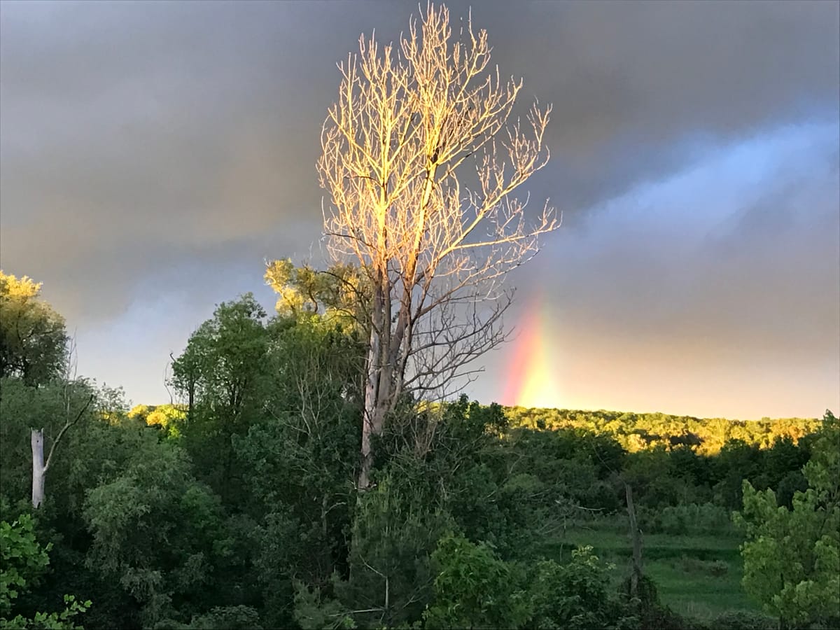 A Rainbow's Beginning